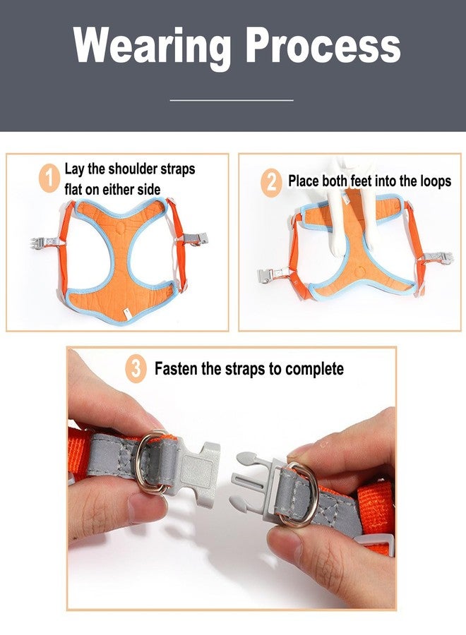Karsaer Reflective Dog Vest Harness Adjustable Straps No-Choke Design with Free Leash Quick Release for Small to Medium Dogs G9001 - Image 5